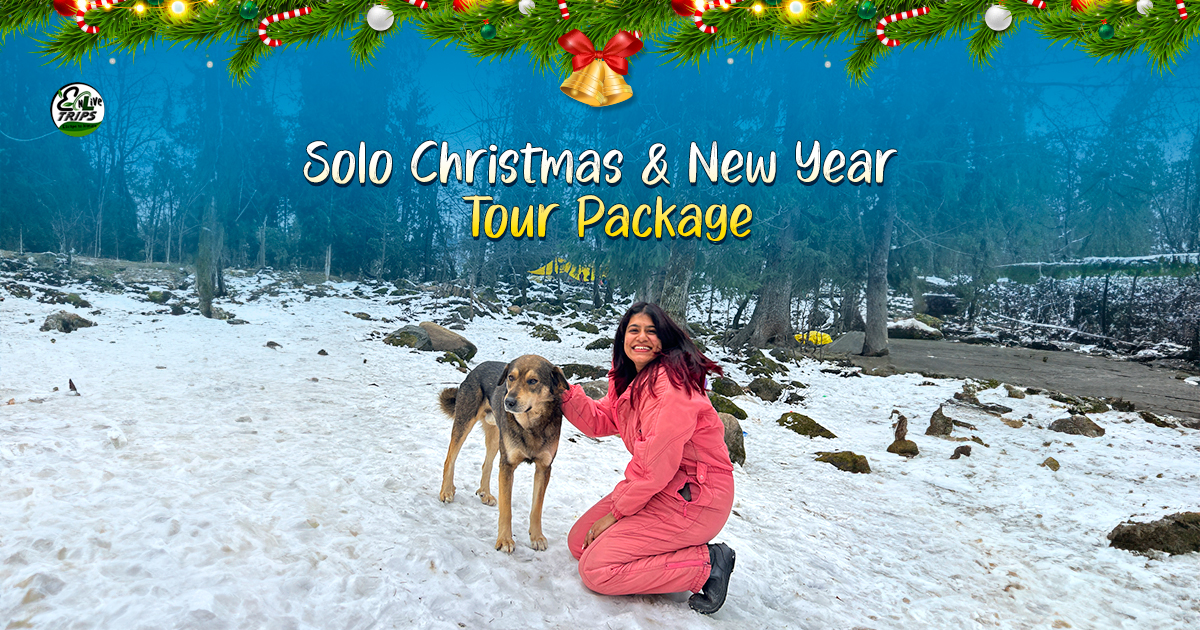 Solo Christmas and New Year tour package